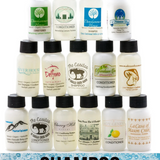 Guest Shampoo | Handmade Natural Boutique Hotel, B&B, Inn Guest Travel-size Amenity Shampoo    Em'z Blendz Soap Co.